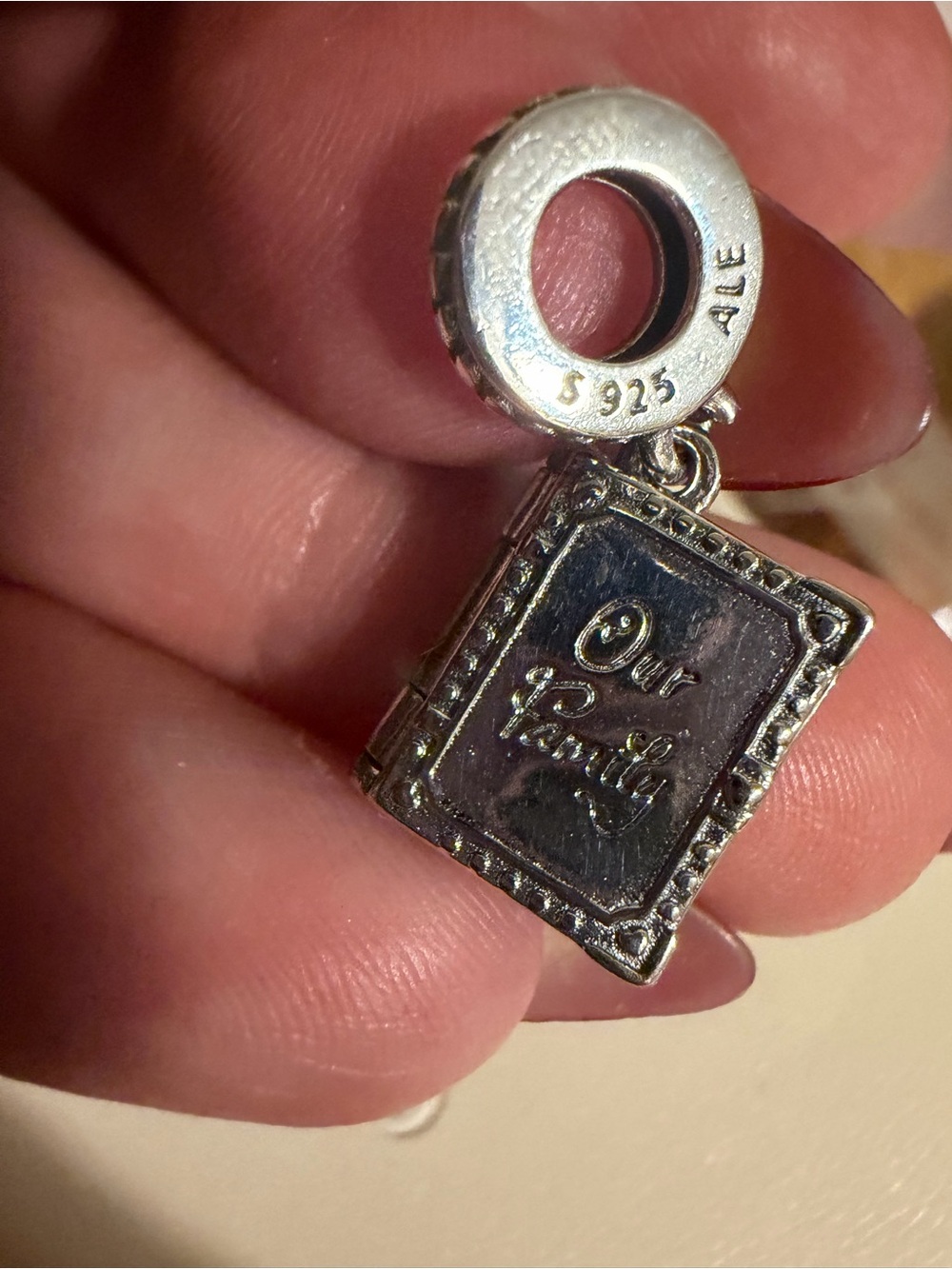 Pandora Silver 'Our Family' Book Dangle Charm